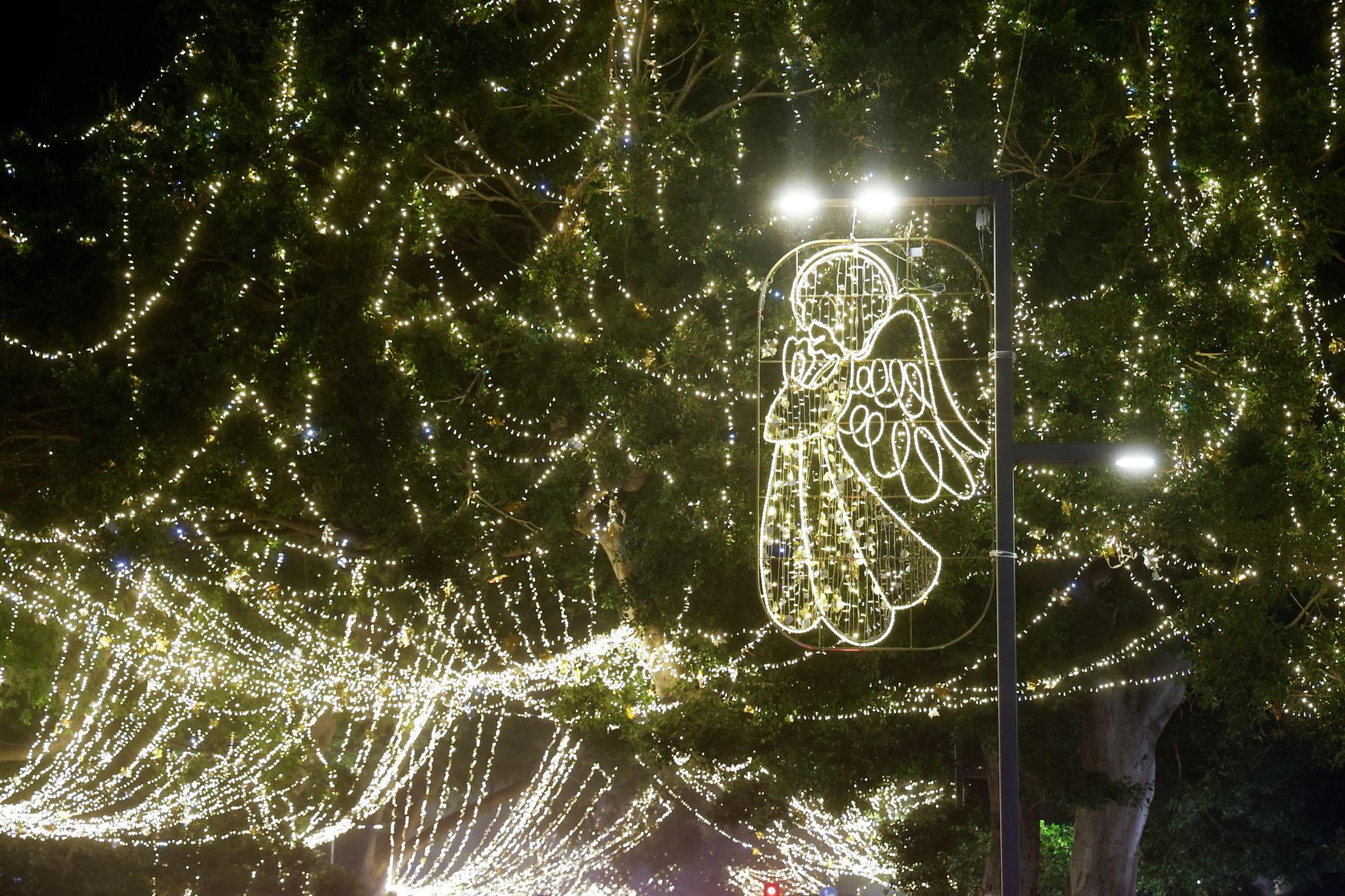 Malaga&#039;s big Christmas switch-on - in pictures
